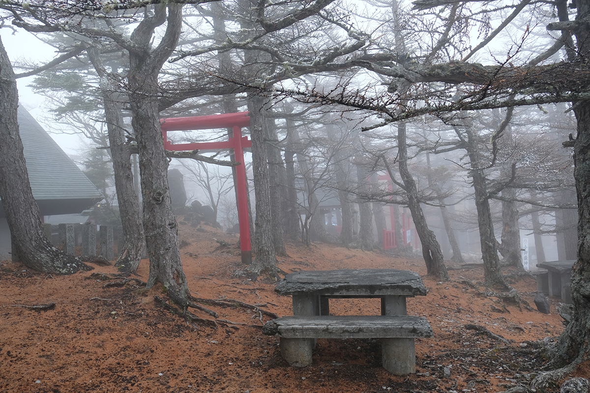 Celebrations on Tōji, the Winter Solstice